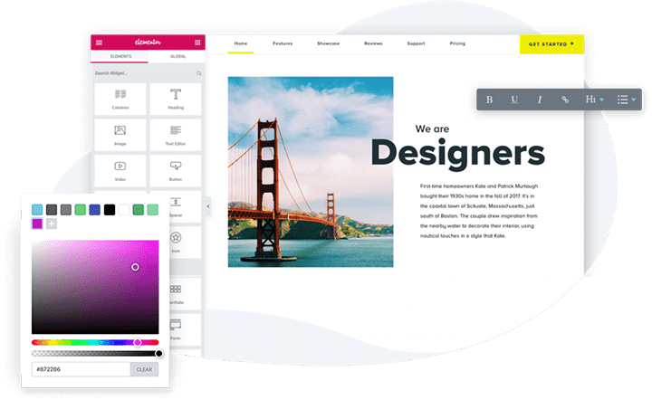 世界领先的 WordPress 页面构建插件 Elementor Pro V2.9.4